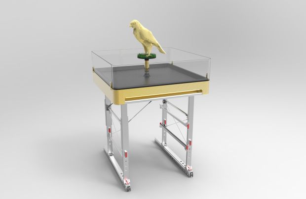 2014 MEBA Falcon Master.jpg