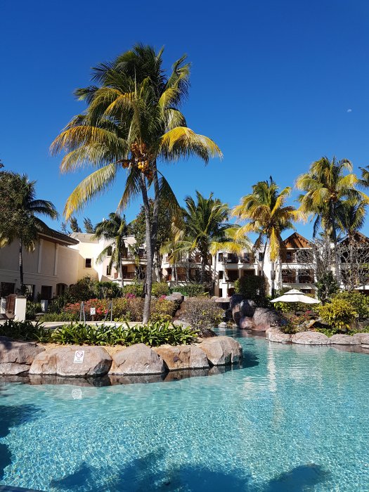 2016-09-11 15.04.12.jpg