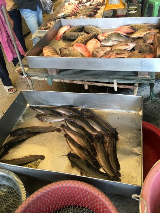 2016 April-Juli 1836.JPG