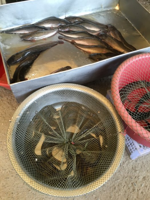 2016 April-Juli 1837.JPG