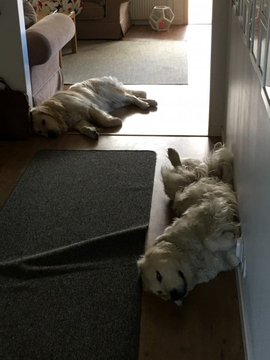 2016 April-Juli 9999.JPG