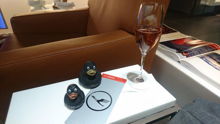 2017-11-04 14.35.22.jpg