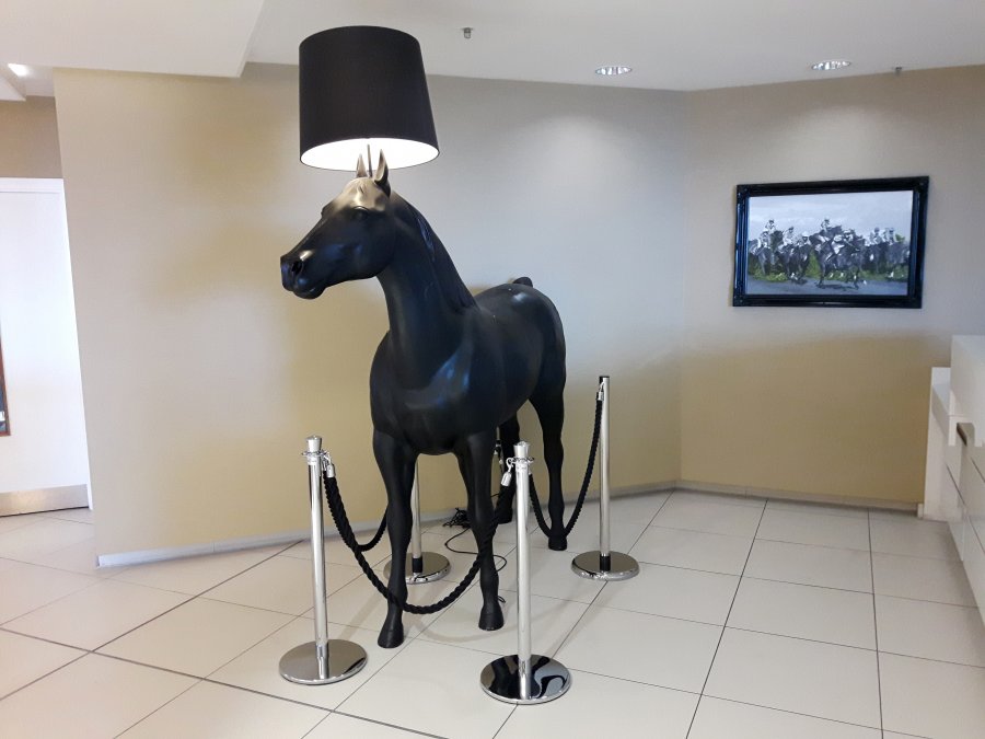 20170609_093155 - Kopia.jpg