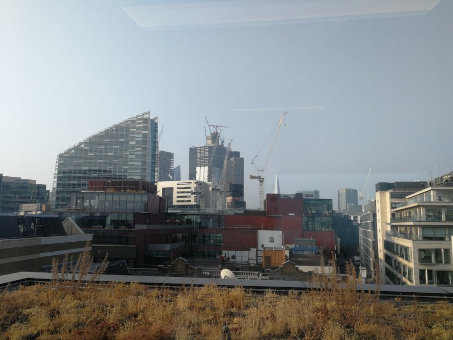 2018-07-26 07.38.12.jpg