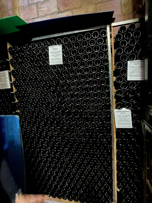 2021 Julen - Palma - 2 av 8.jpeg