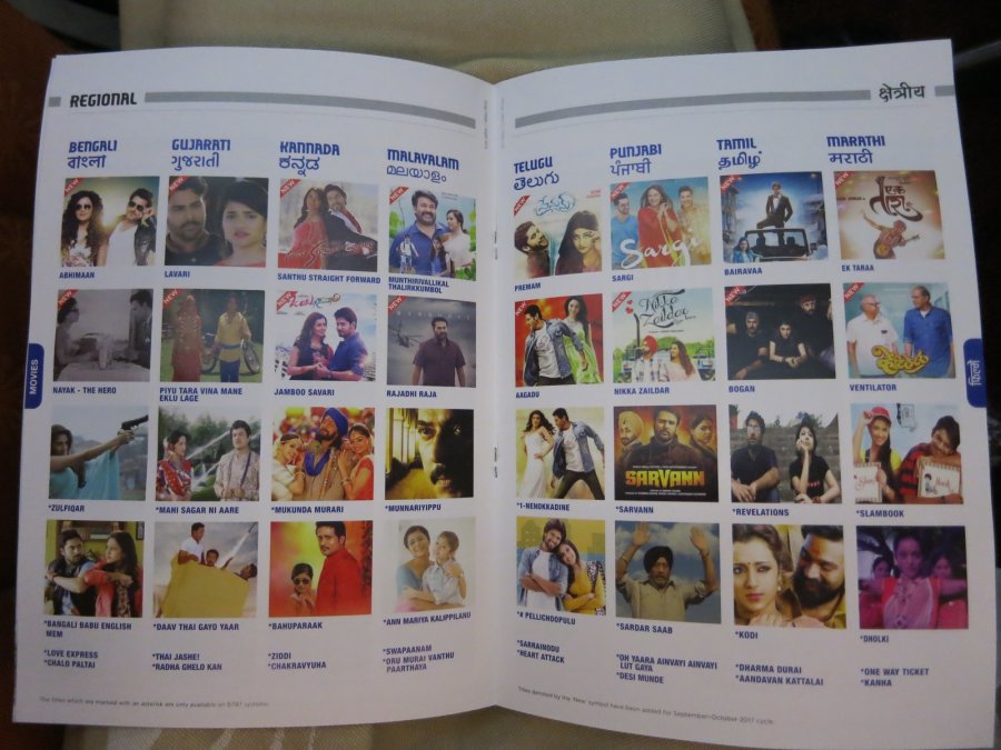 Air India Economy Boeing 787 ARN-DEL, 20.JPG