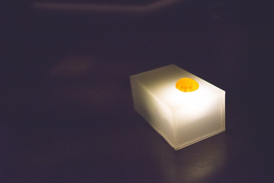 alchemist (18 av 1).jpg