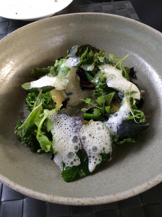 Augusti 2015 045.JPG