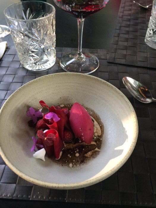 Augusti 2015 048.JPG