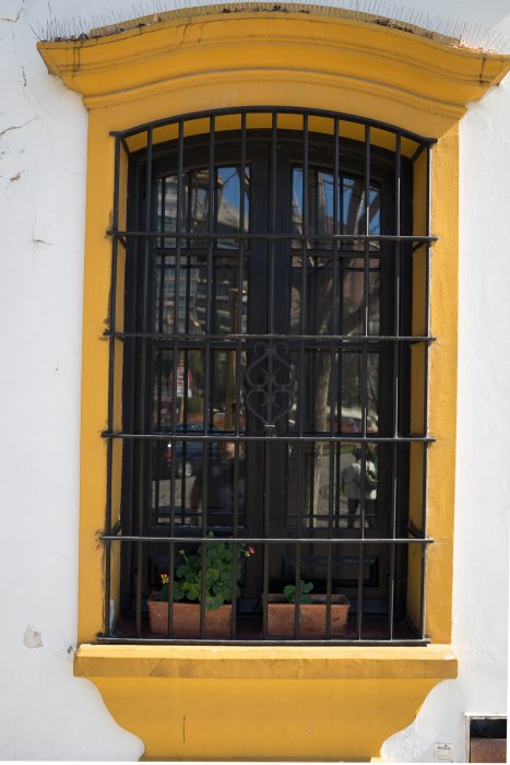 blandat (19 av 44).jpg