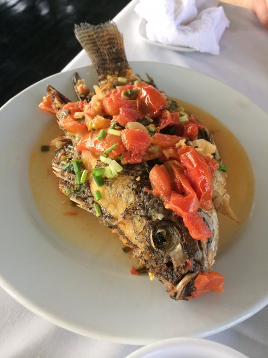 December 2014 181.JPG