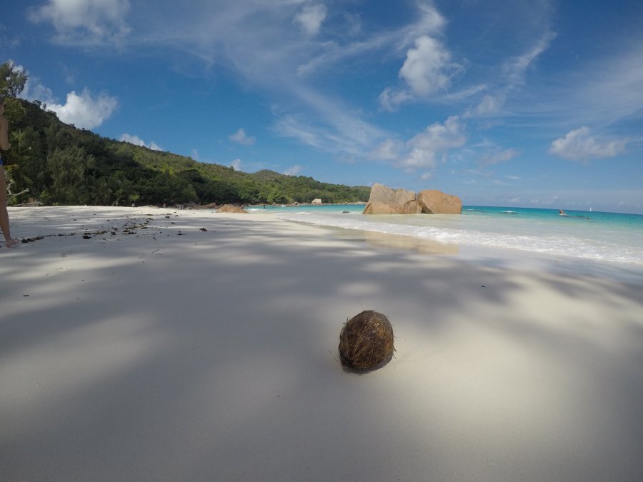 GPTempDownload 6.jpg