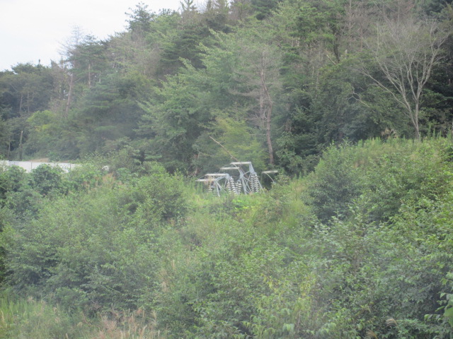 IMG_0066 - Kopia.JPG