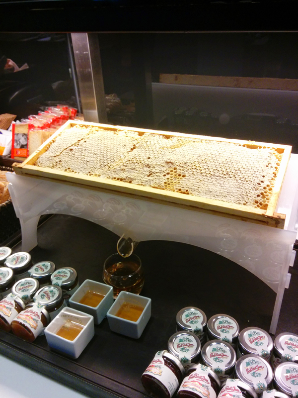 IMG_20140618_080134 - Copy.jpg