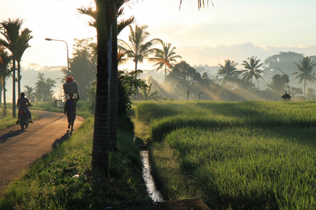 IMG_6006 (640x427).jpg