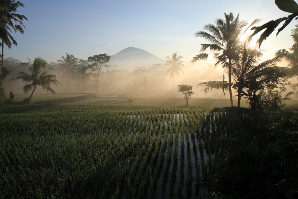 IMG_6024 (1024x683).jpg