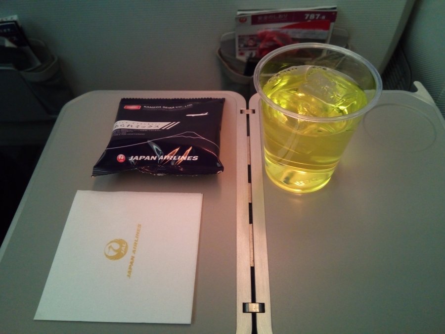 JAL BKK-HND B787 Economy, 05.jpg