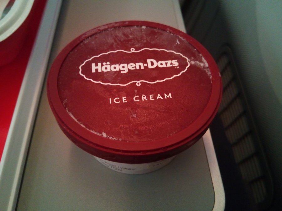 JAL BKK-HND B787 Economy, 08.jpg