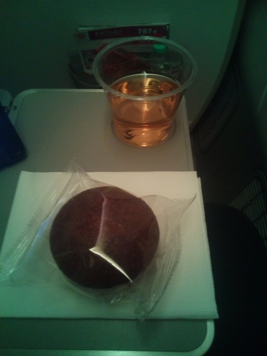 JAL BKK-HND B787 Economy, 09.jpg