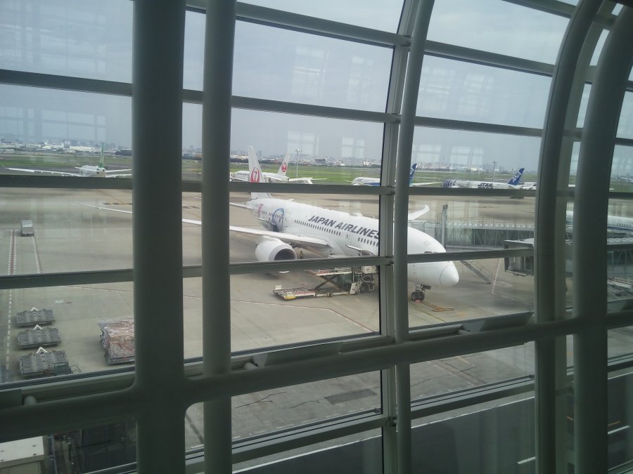 JAL Business B787 HND-CAN, 04.jpg