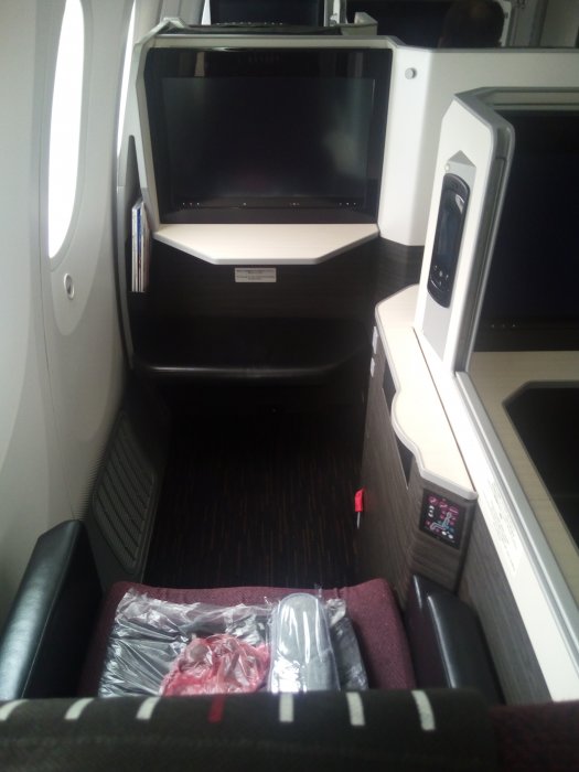 JAL Business B787 HND-CAN, 10.jpg