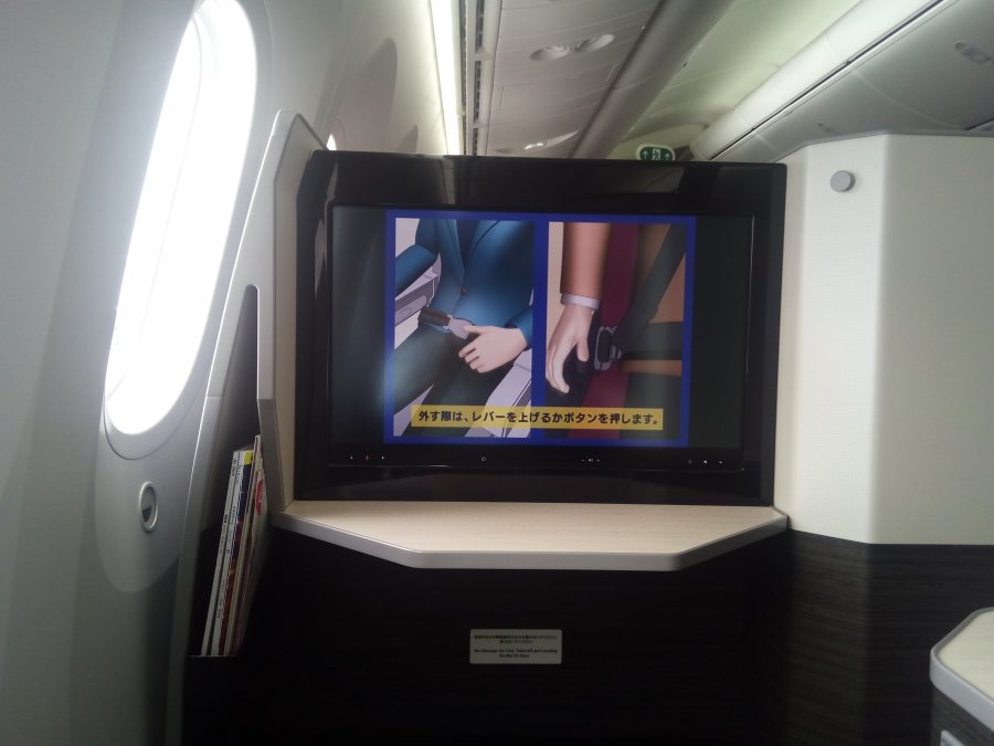 JAL Business B787 HND-CAN, 25.jpg