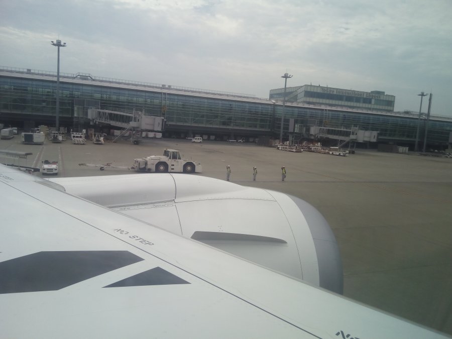 JAL Business B787 HND-CAN, 26.jpg