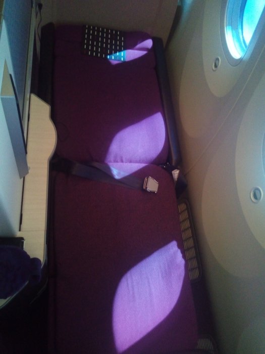 JAL Business B787 HND-CAN, 40.jpg