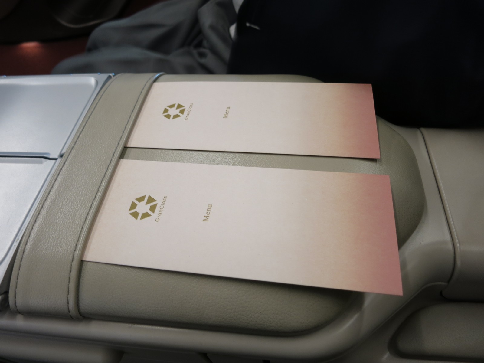 JR East Gran Class, 11.jpg