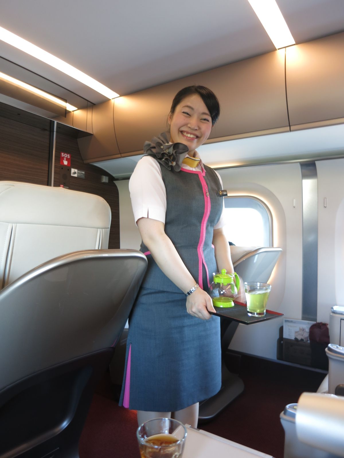 JR East Gran Class, 22.jpg