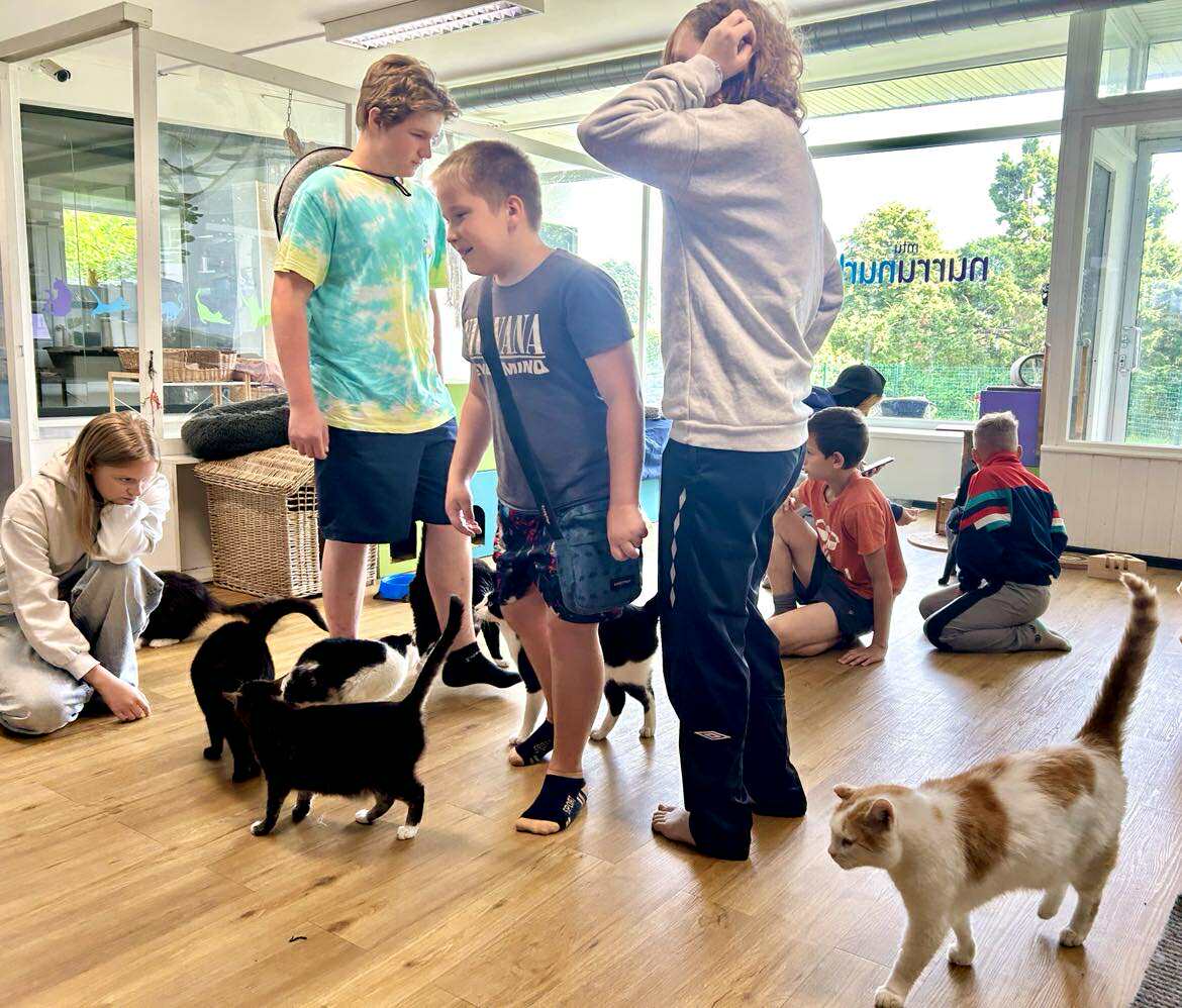 Peeteli summer camps (18).jpeg