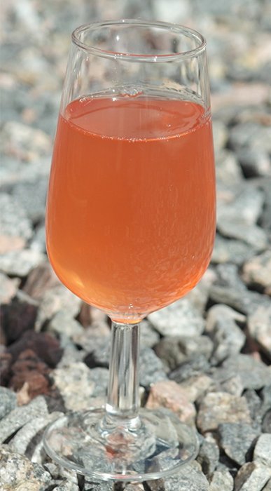 Rabarber Jordgugg Gin Likör.jpg