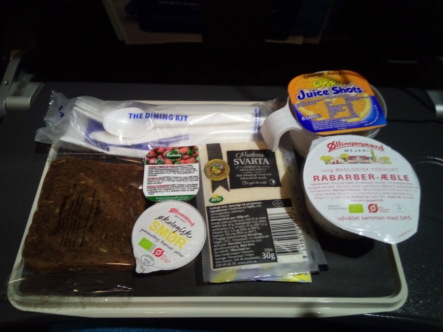 SAS ARN-HKG A330 Economy, 11.jpg