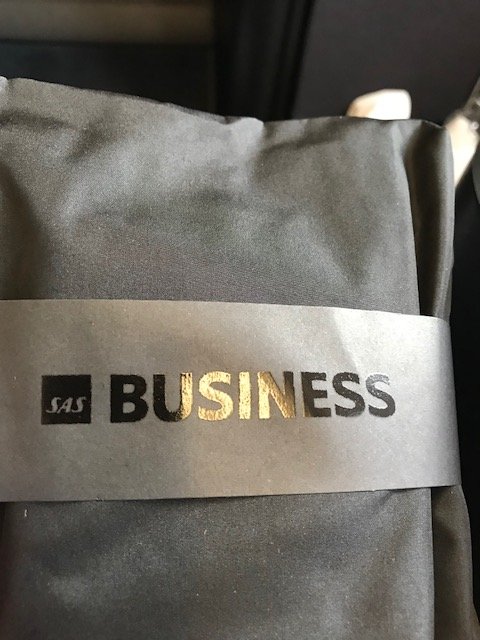 SAS Business PVG-CPH.jpg