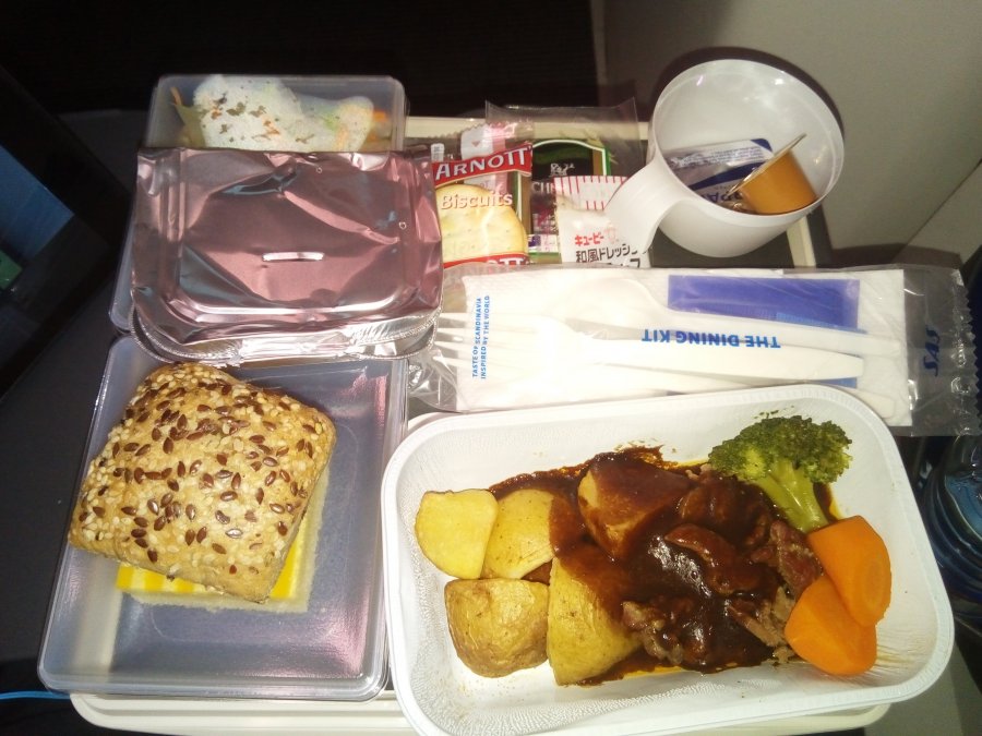 SAS NRT-CPH A340 Economy, 05.jpg