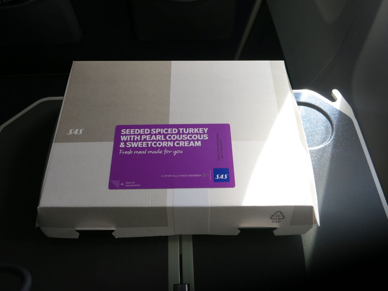 SAS Plus ARN-HAM B737, 07.JPG