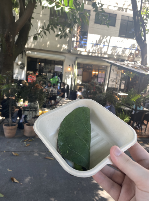 Screenshot 2021-10-11 at 06.10.28.png