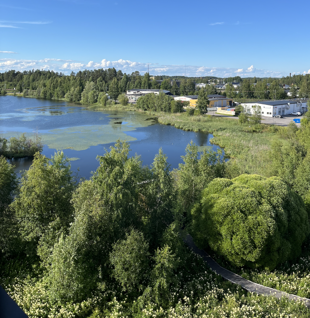 Screenshot 2024-07-12 at 12.01.57.png