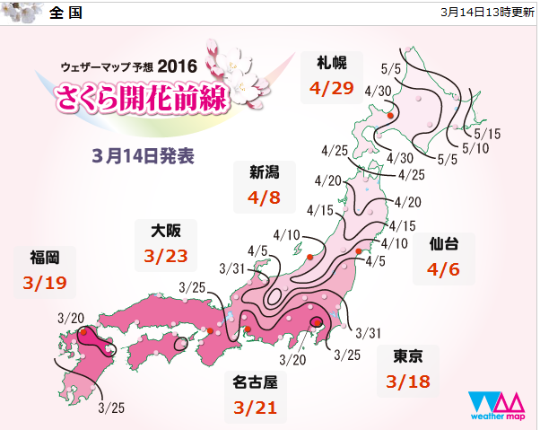 Screenshot20160315_06 Sakura.png