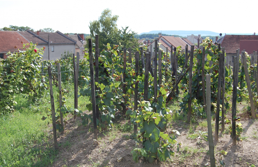 Skärmavbild 2022-05-28 kl. 16.03.13.png