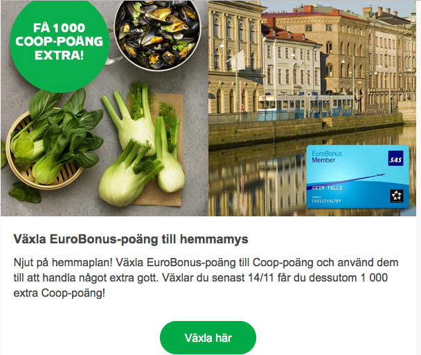 Skärmavbild 2020-11-07 kl. 19.44.58.png