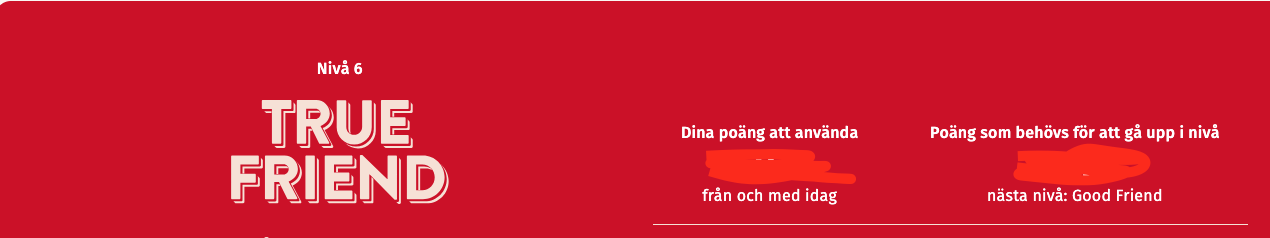 Skärmavbild 2025-04-29 kl. 10.45.36.png