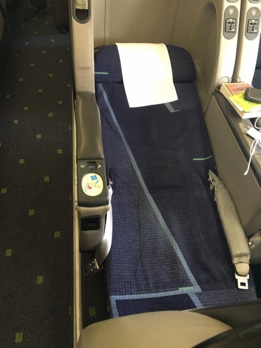 TAP Portugal A330 3.jpg