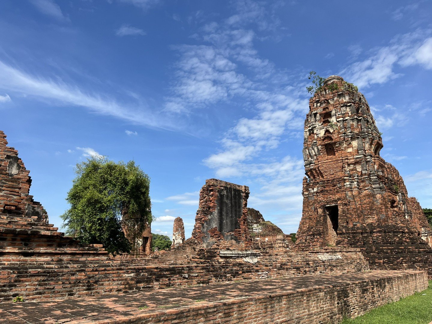 IMG_7050 (Stor).JPEG