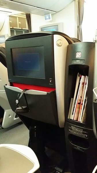 787-JAL2.jpg