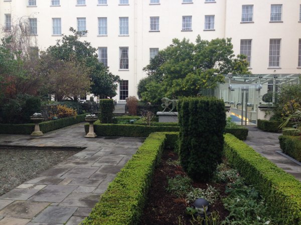 Merrion garden2.JPG