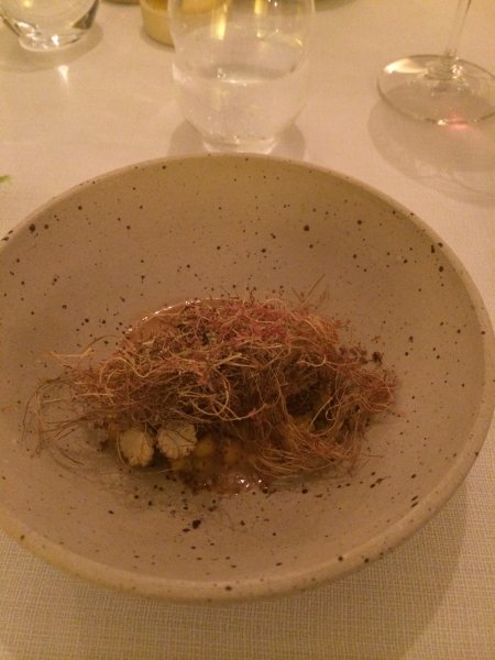 Augusti 2014 117.JPG