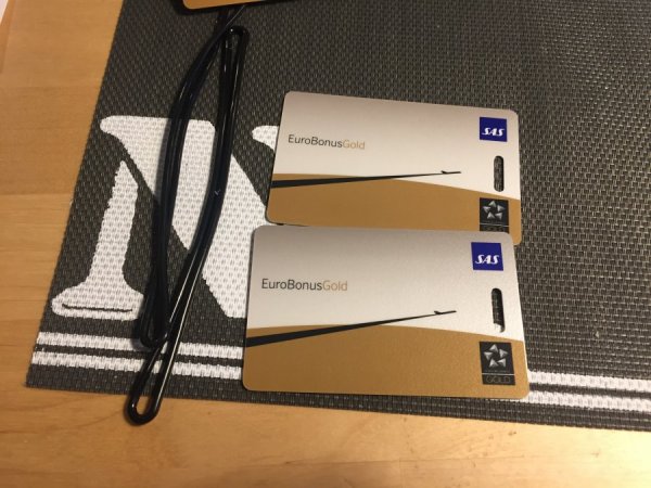 Gamla bagagetaggar.JPG